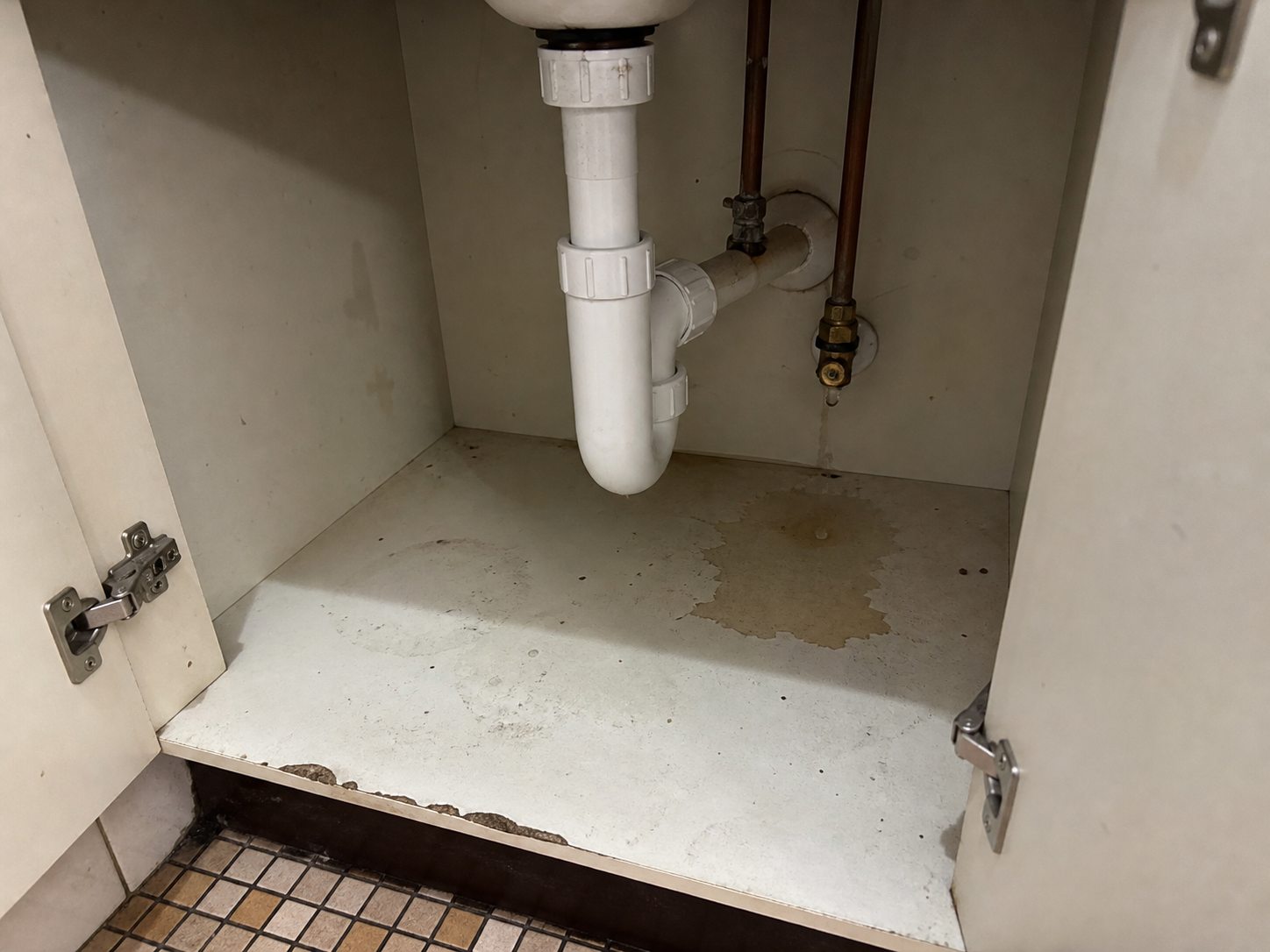 Slow leak and damp cabinet base beneath a bathroom vanity